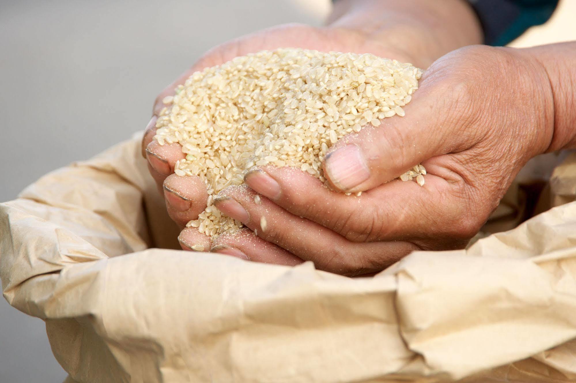 Kahantei Hakodate Ngoại thất bức ảnh